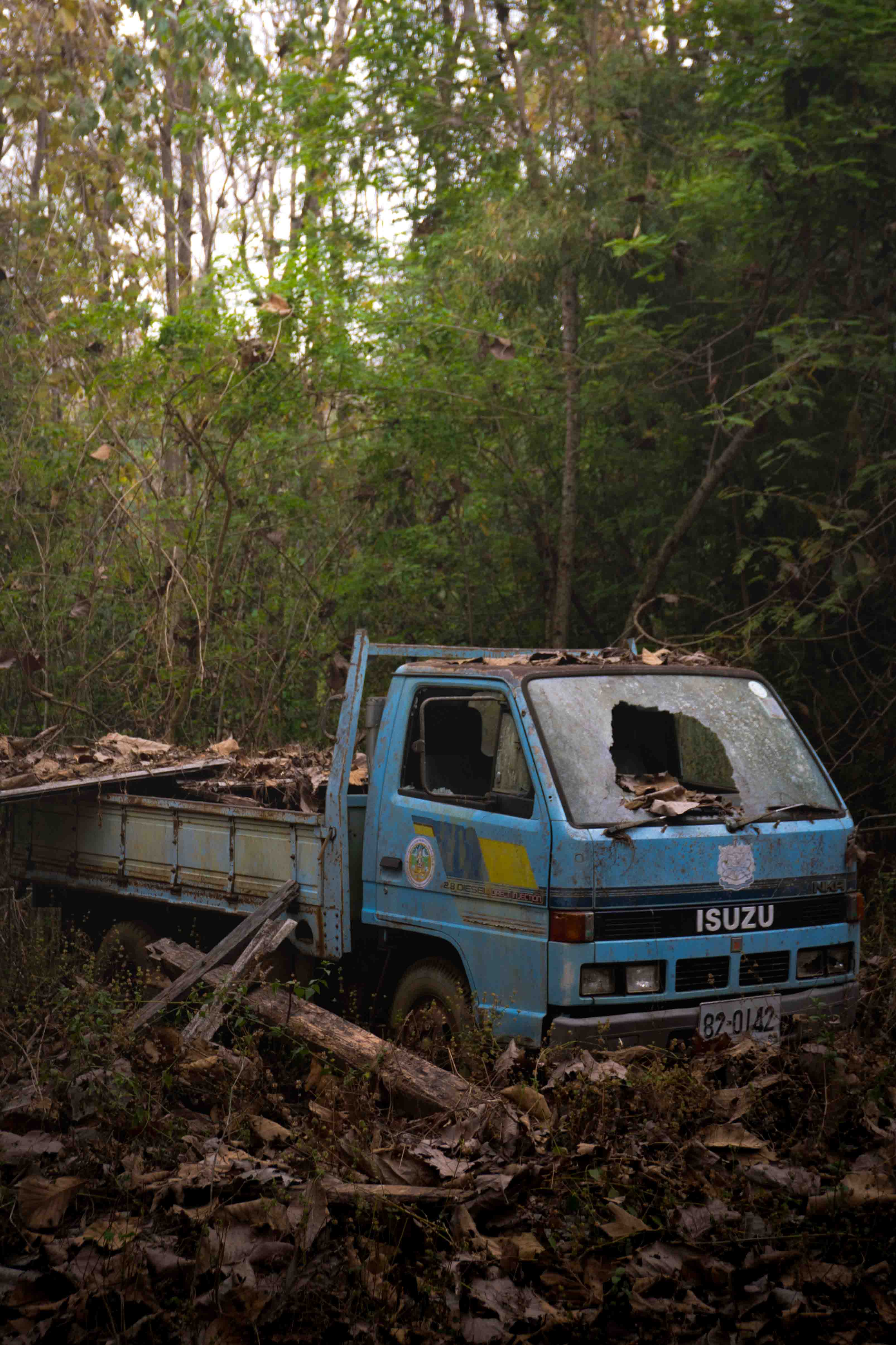Portfolio photograph by Elouan Ploquin 49