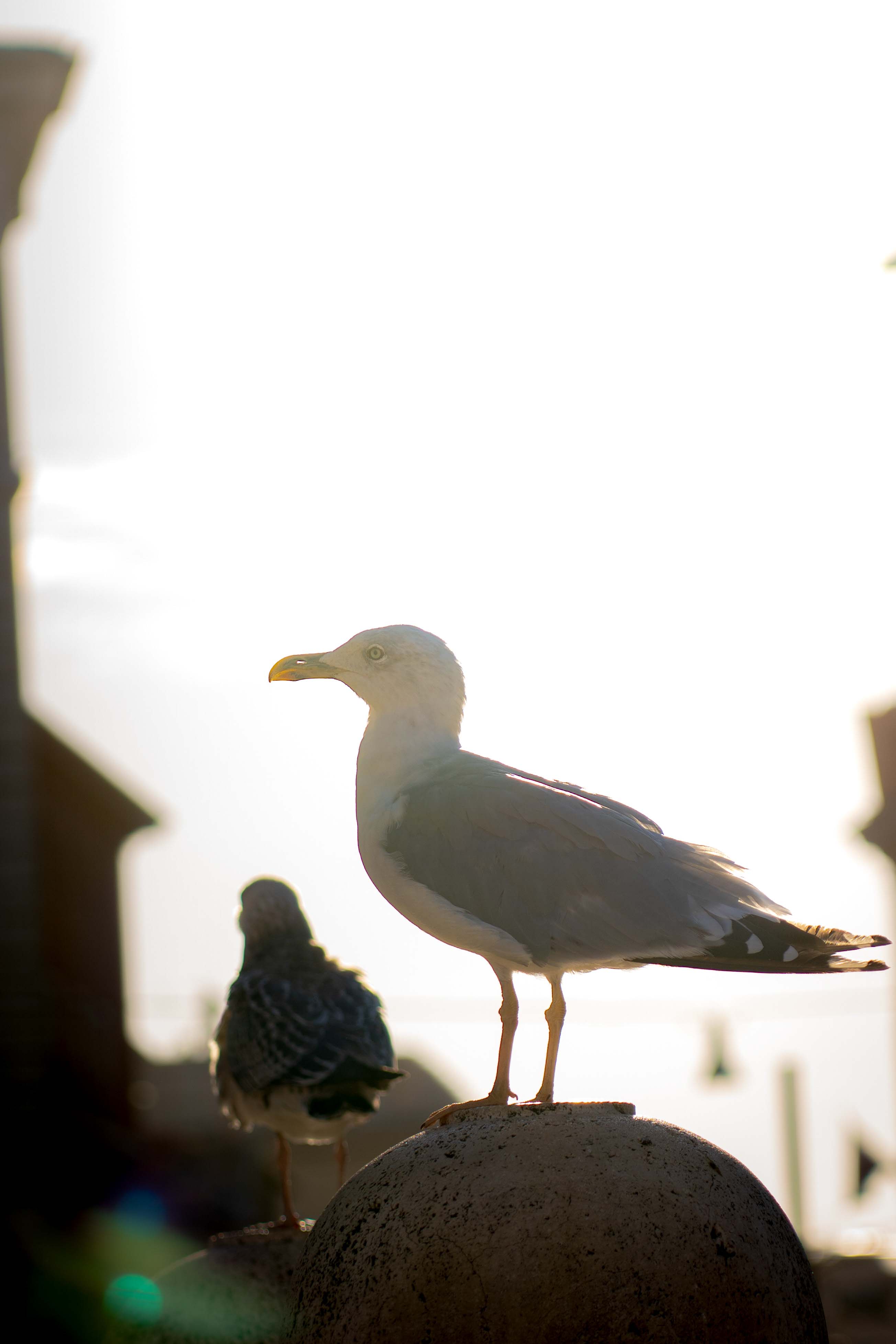 Portfolio photograph by Elouan Ploquin 74