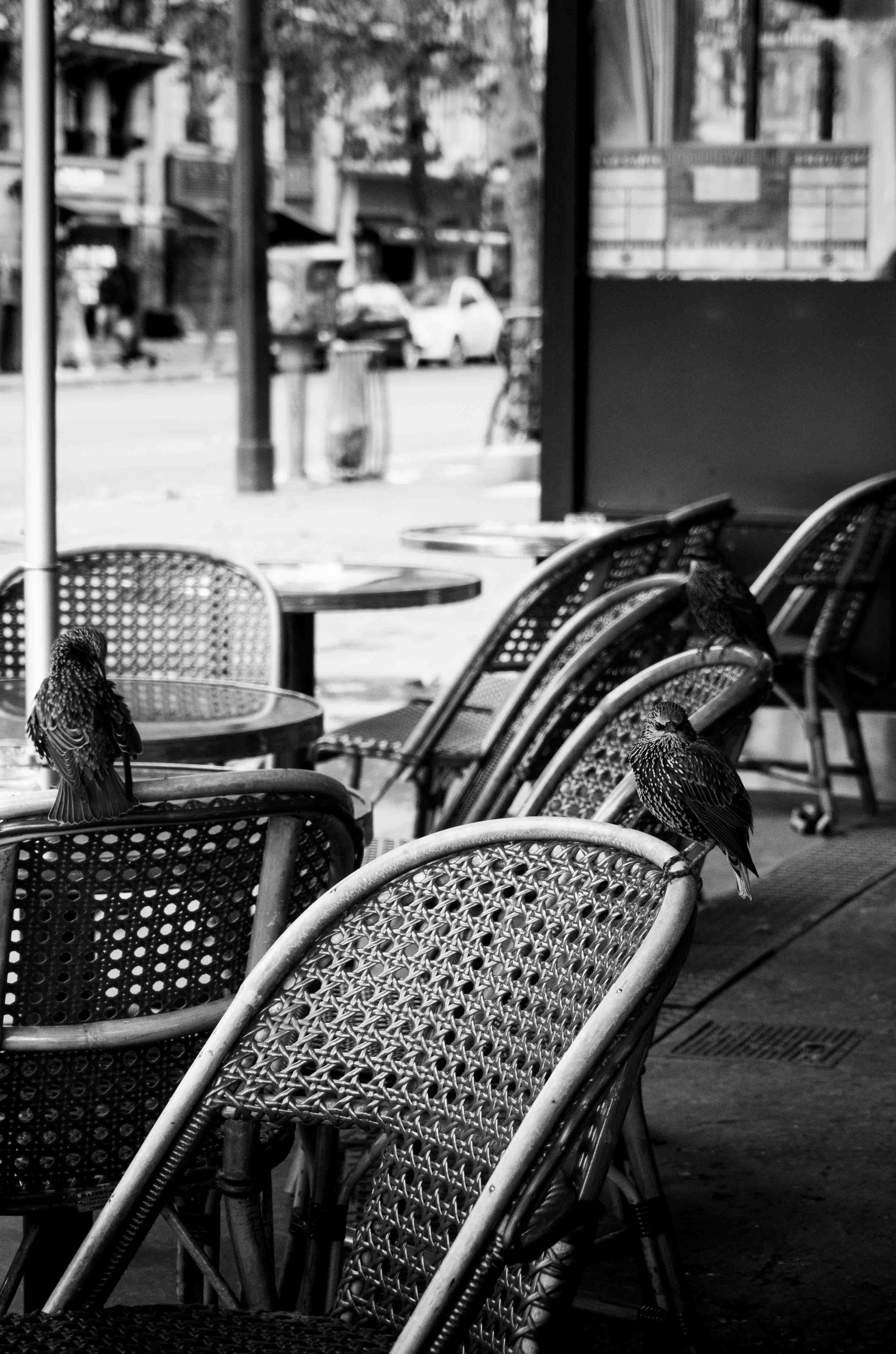 Portfolio photograph by Elouan Ploquin 91