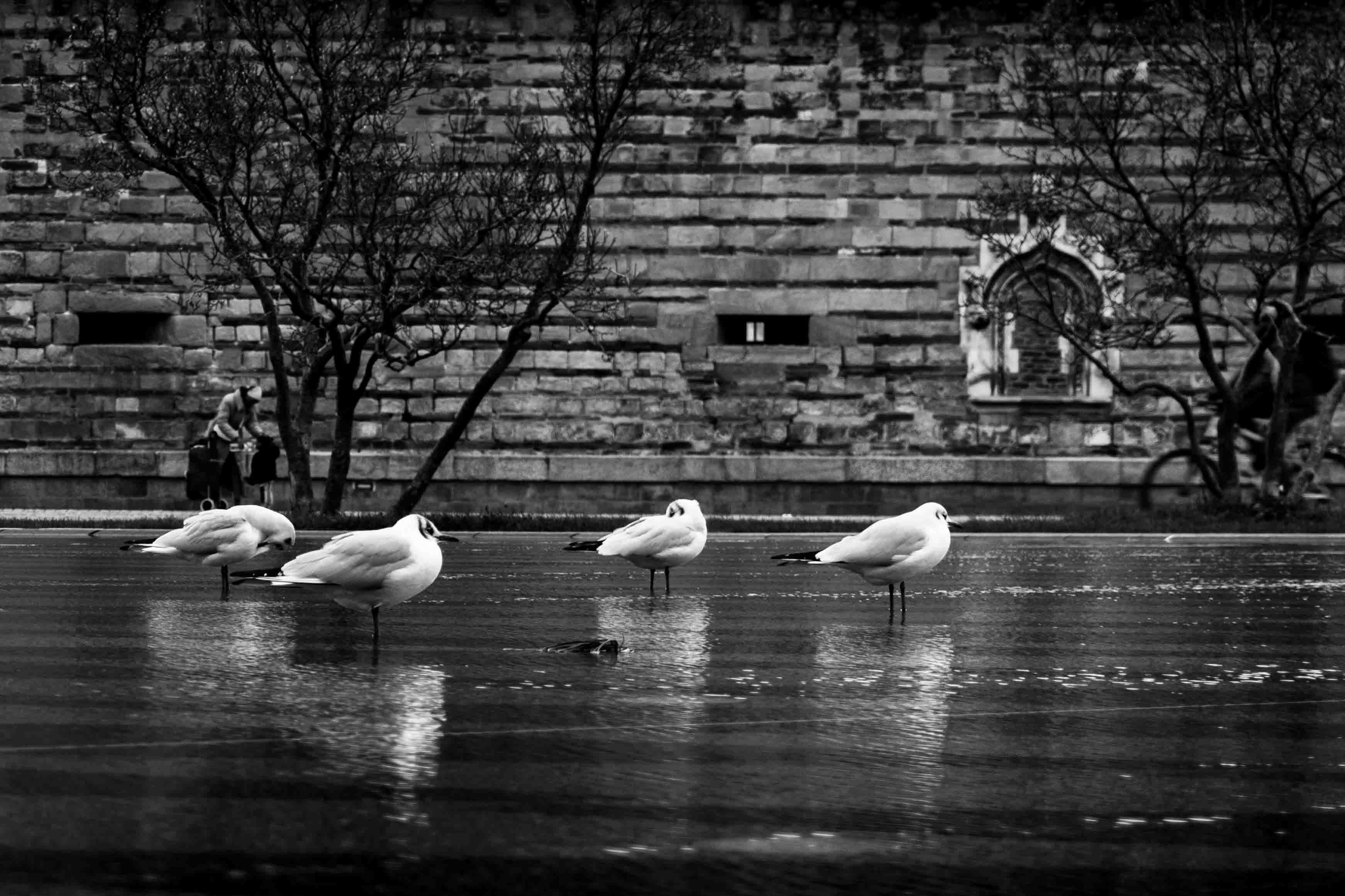 Portfolio photograph by Elouan Ploquin 29