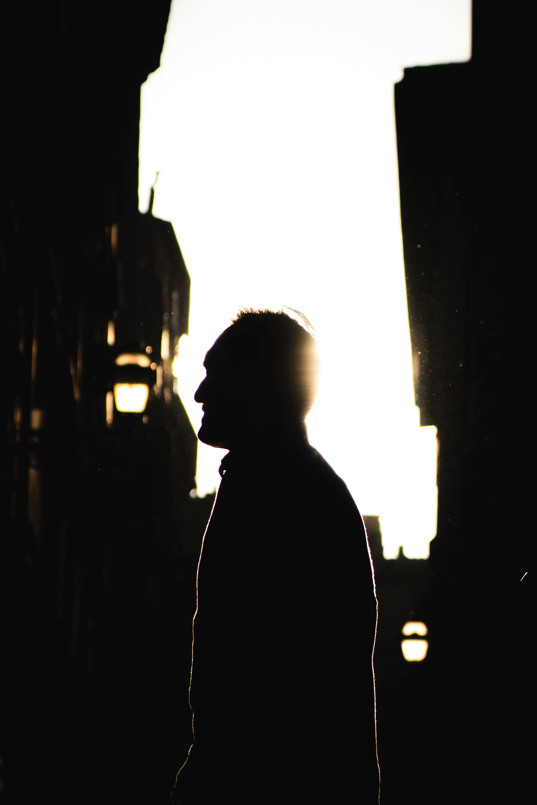 Portrait — Pulse